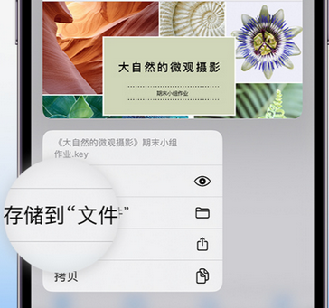 盘锦apple维修中心分享iPhone文件应用中存储和找到下载文件