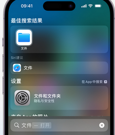 盘锦apple维修中心分享iPhone文件应用中存储和找到下载文件