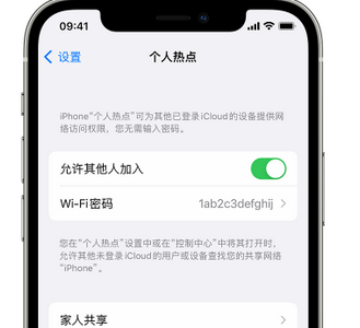 盘锦apple服务站点分享iPhone上个人热点丢失了怎么办