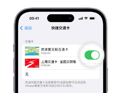 盘锦apple维修点分享iPhone上更换Apple Pay快捷交通卡手绘卡面 