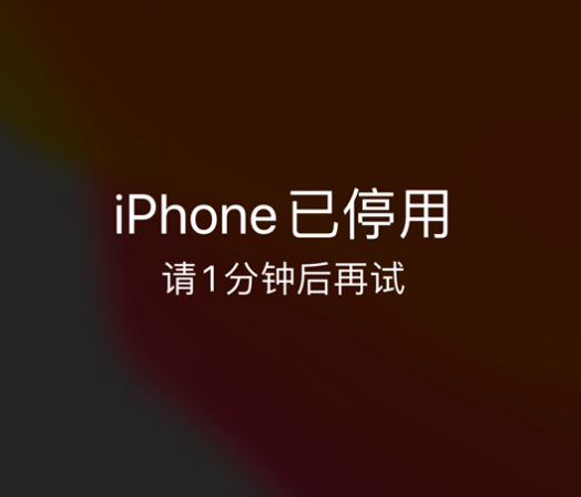 盘锦苹果手机维修分享:iPhone 显示“不可用”或“已停用”怎么办？还能保留数据吗？ 