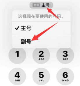 盘锦苹果14维修店分享iPhone 14 Pro Max使用副卡打电话的方法 