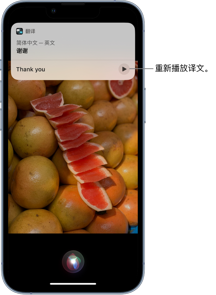 盘锦苹果14维修分享 iPhone 14 机型中使用 Siri：了解 Siri 能帮你做什么 