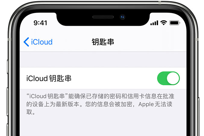 盘锦苹果手机维修分享在 iPhone 上开启 iCloud 钥匙串之后会储存哪些信息 