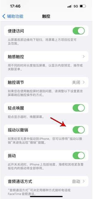 盘锦苹果手机维修分享iPhone手机如何设置摇一摇删除文字 