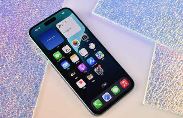 盘锦苹果手机维修分享为什么大家不喜欢苹果iPhone 16 Plus 