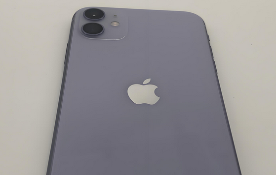 盘锦苹果11系统维修分享iPhone11手机系统崩溃无法开机如何解决 