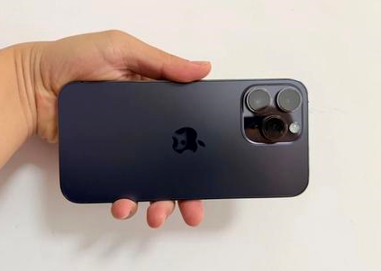 盘锦苹果维修点分享iPhone 14 Pro Max黑屏少见故障盘点 