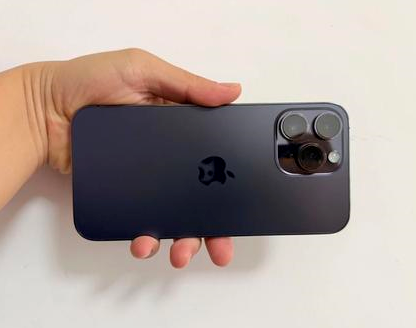 盘锦苹果维修点分享iPhone 14 Pro Max发烫多重诱因剖析 
